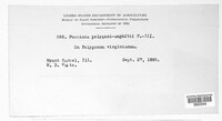 Image Associated With the Occurence